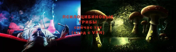 дмт Алексин