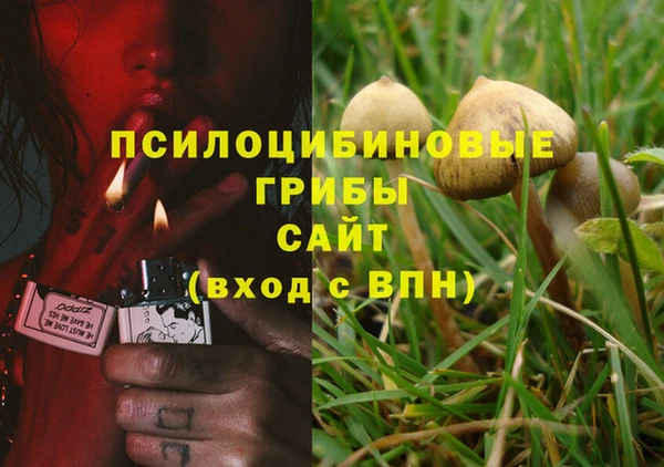 дмт Алексин